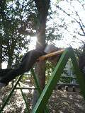 くるん 2009/02/14 16:03:36