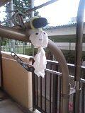 なんとか 2009/05/30 06:28:11