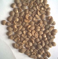 マンデリンの生豆の写真 2007/03/21 19:35:00