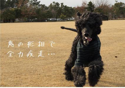 久々のお出かけ