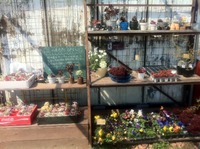休日～♪ 2012/03/21 18:36:54