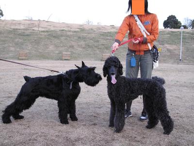 公園