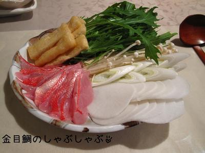 伊豆旅行①