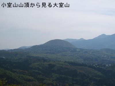 伊豆旅行②