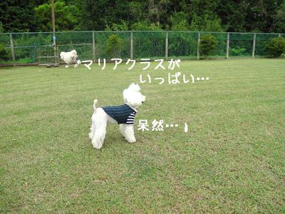 オフ会