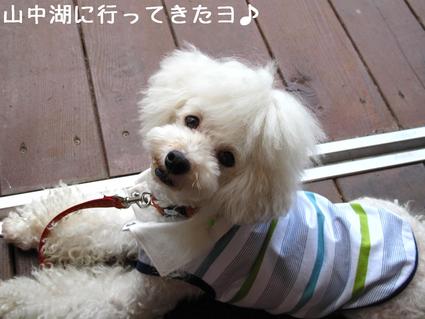 涼みに…♪