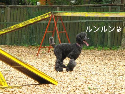 涼みに…♪