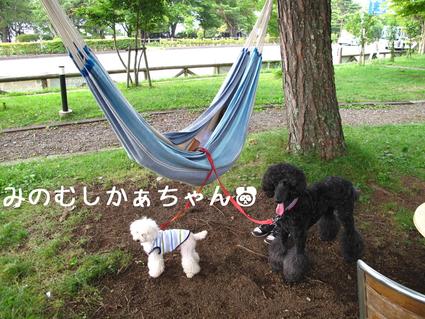 涼みに…♪