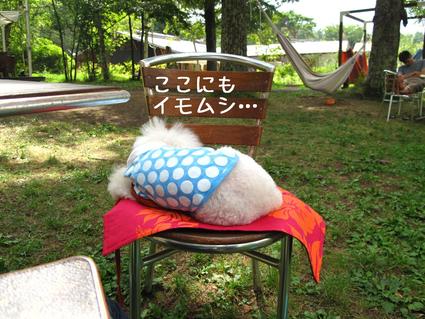 再び…山中湖♪