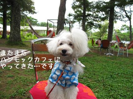 再び…山中湖♪
