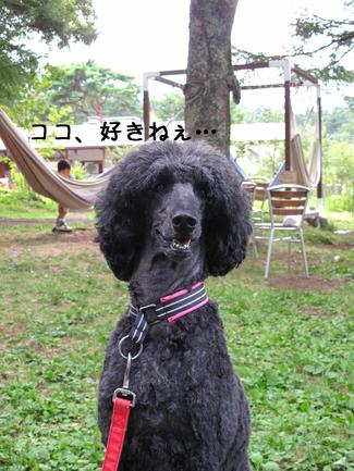 再び…山中湖♪