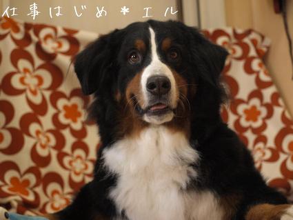 仕事はじめ