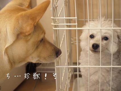 仕事はじめ