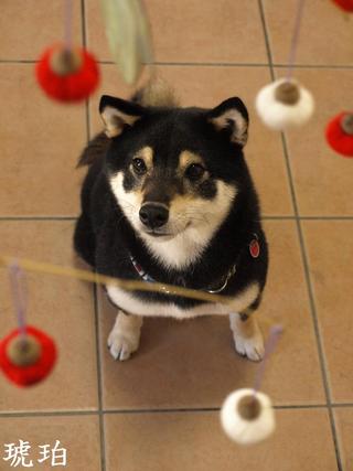 背景飾り♪