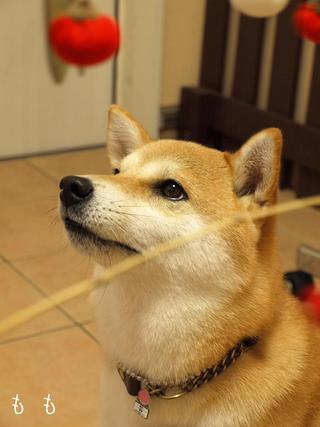 届いています。