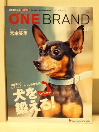 届いています。