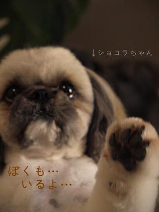 ロゴマーク