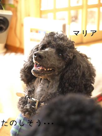 お茶会♪