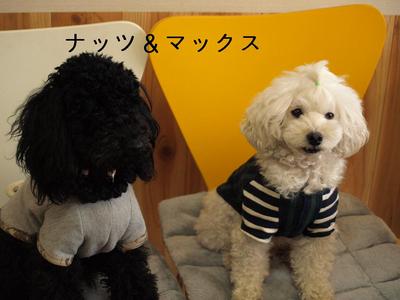 お茶会♪