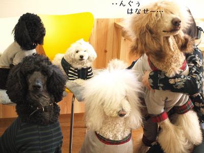 お茶会♪