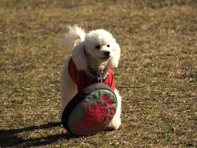 森林公園