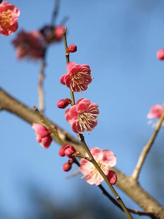 森林公園