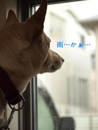 母とデート