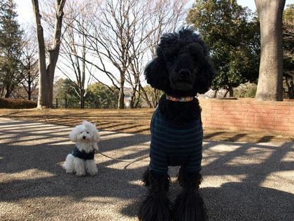 横浜♪