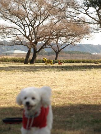 公園巡り