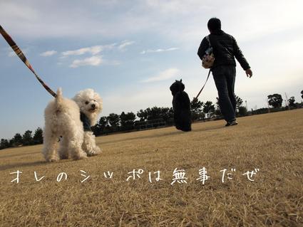 久々のお出かけ