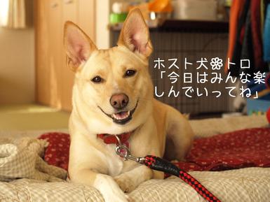 わん友お茶会withわん
