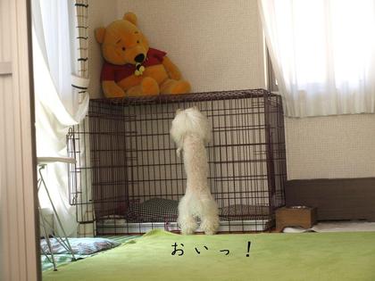 守り神…