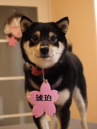3連休
