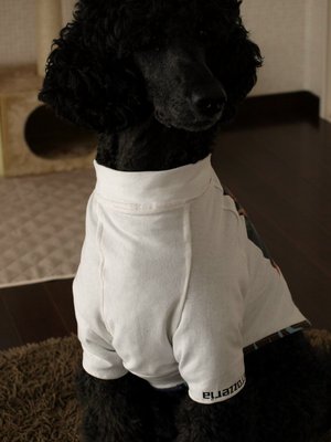 ハンドメイド犬服