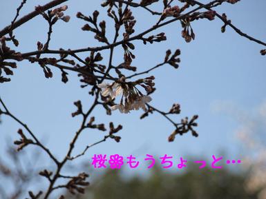 旅行（姫路編）