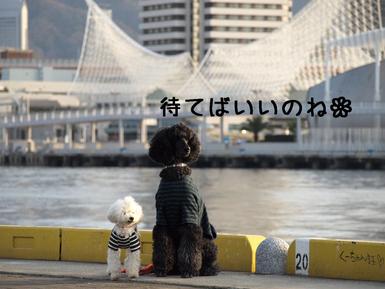 旅行（神戸編）