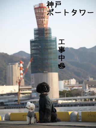 旅行（神戸編）