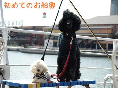 旅行（神戸編）
