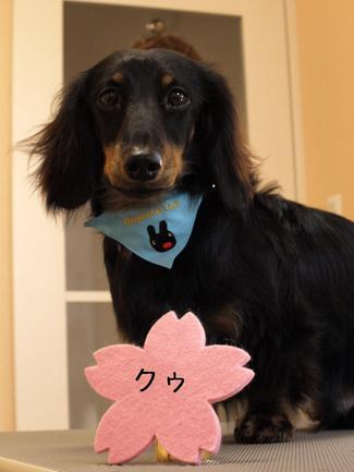 殿