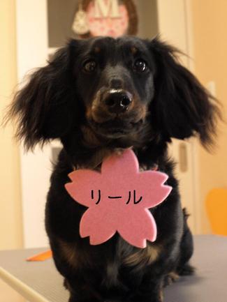 殿