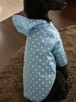 春の雨
