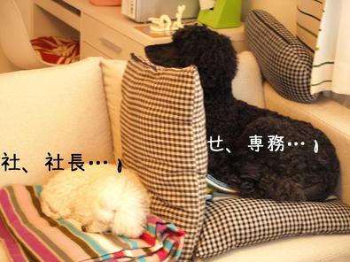 新年度