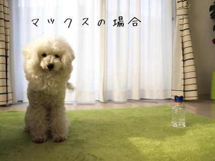 ペットボトル…ケースその2