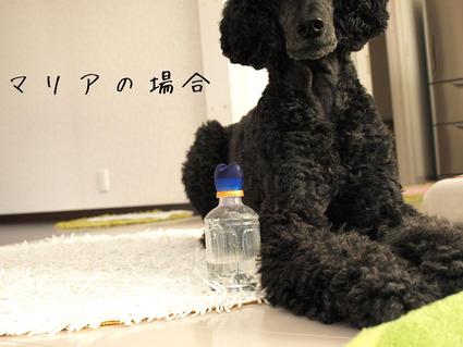 ペットボトル…ケースその1
