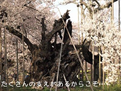 バス旅行♪