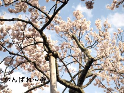 バス旅行♪