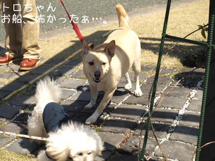 ダンスの後は…♪