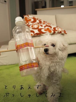 ペットボトルで…