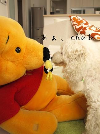 コツコツと…