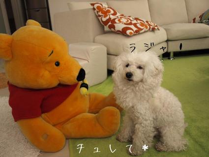 コツコツと…